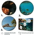 thumbnail image 3 of Designart "Seashore Coral Sanctuary" Nautical & Beach Floater Framed Wall Art Print, 3 of 7