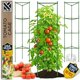 thumbnail image 1 of Soporte para plantas K-Brands, jaula para tomates de 3 piezas, 173 cm de alto, 1 of 9