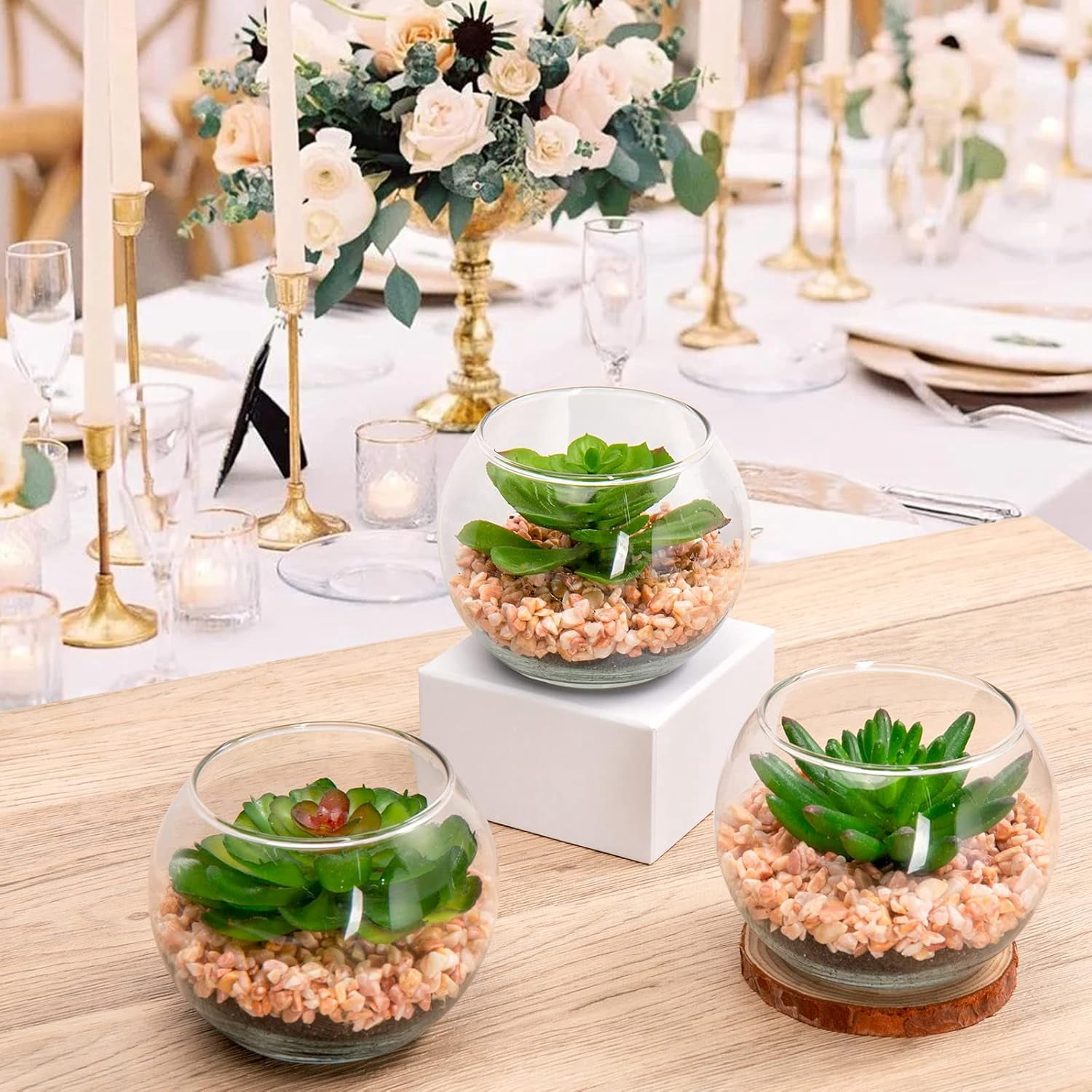 Mini Fake Plants 3 Packs Artificial Succulents Plants in Round Glass Vase Cute Faux Succulents for Bathroom Kitchens Shelf Table Decor