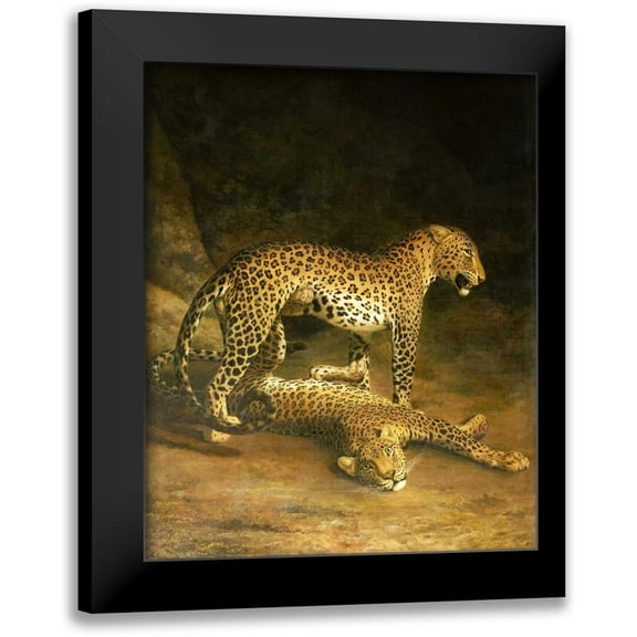 Agasse, Jacques-Laurent 12x14 Black Modern Framed Museum Art Print Titled - Two Leopards Lying In The Exeter Exchange