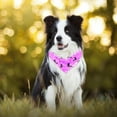 thumbnail image 2 of 2 Packs Dog Bandana Chiffon Pet Scarves Halloween Witch Riding Broom Printing Dog Bib Kerchief Scarf for Small Medium Large Dogs Cats Pets, Birthday Gift, 2 of 6