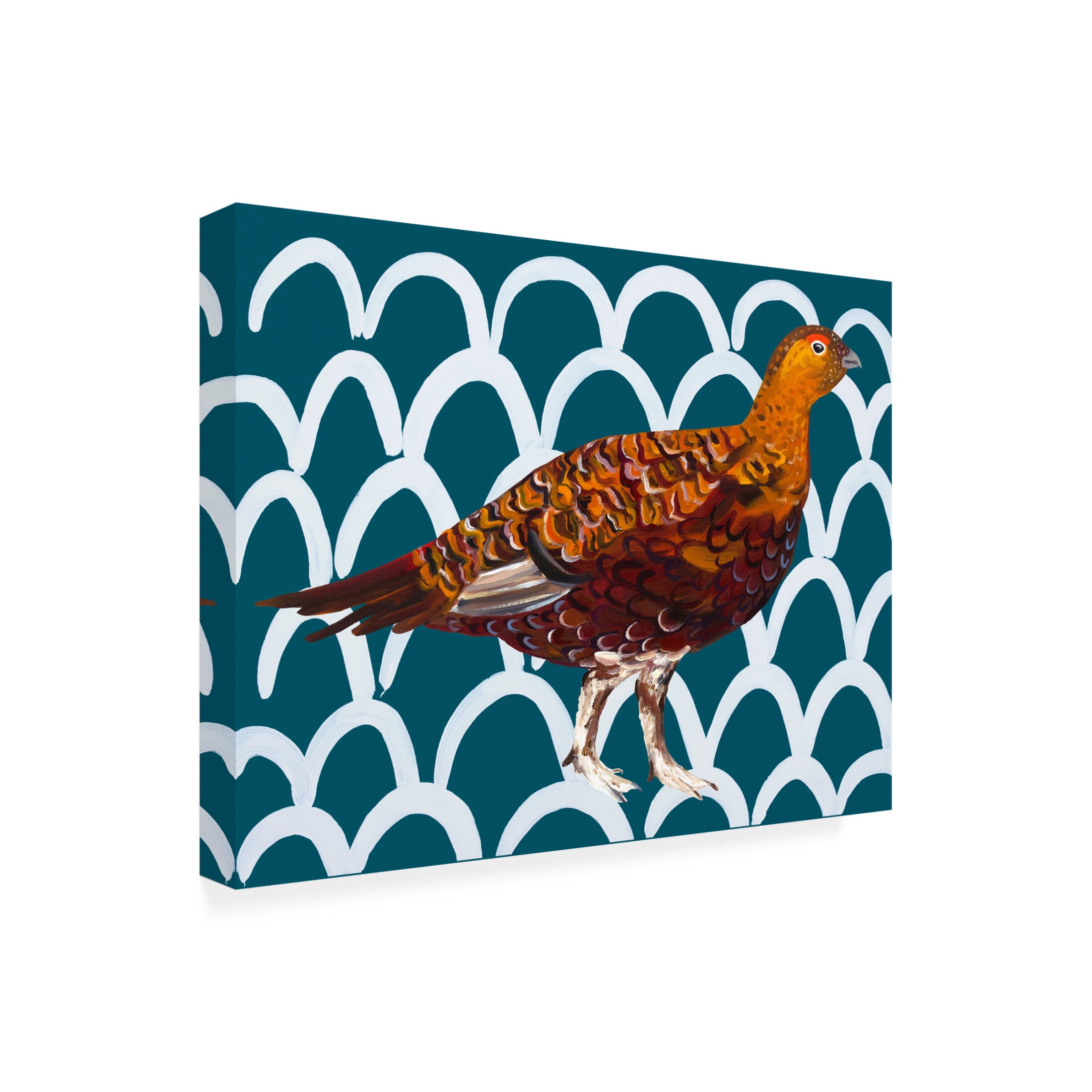 Trademark Fine Art Alice Straker  Gorgeous Grouse Canvas Wall Art