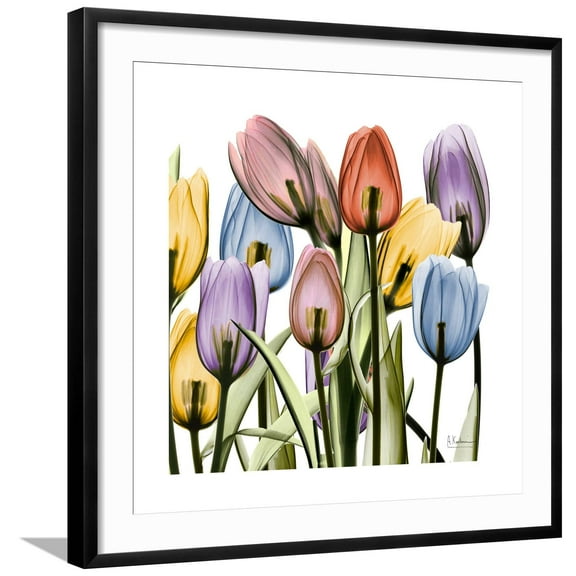 Art.com Tulipscape Art Print by Albert Koetsier, Black Frame Wall Art, 29" x 29"
