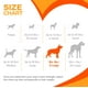thumbnail image 5 of Juguete masticable Nylabone Pretzel Power para perros masticadores agresivos, 5 of 9