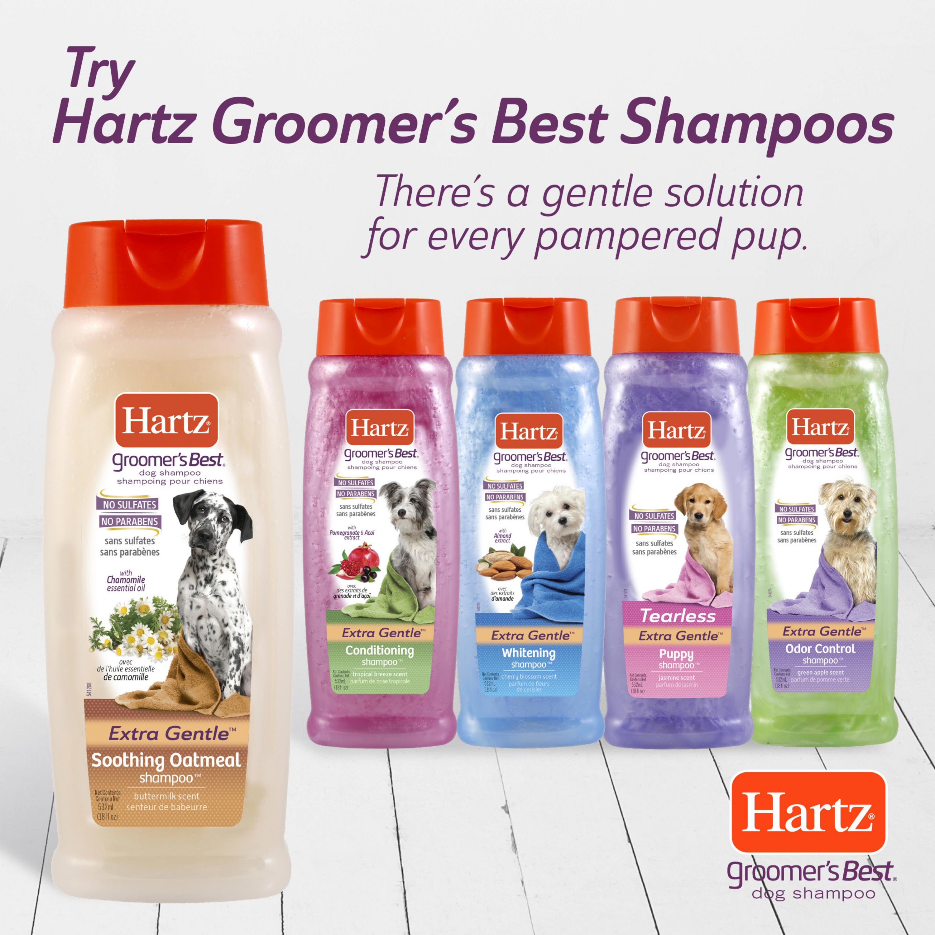 Hartz Groomer's Best Conditioning Dog Shampoo, Tropical Breeze, 18 oz photo 5