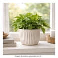 thumbnail image 4 of Maceta Home Trends 15 x 15 cm Rayas Blanco, 4 of 4