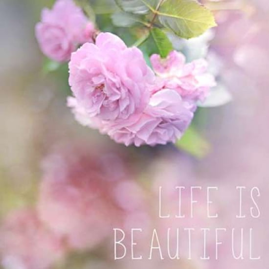 Life Is Beautiful C