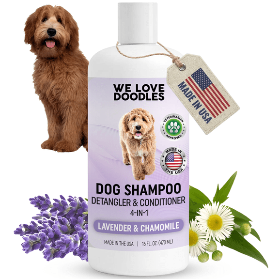 Dog Conditioner & Detangler, 2-in-1 Conditioner for Allergies & Itching, Made in USA, Lotion Treatment for Dogs, Perfect for Poodles, Doodles, & Goldendoodles, 16oz [We Love Doodles]