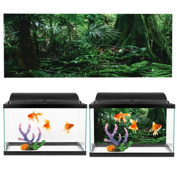 Rainforest Background, Fish Tank Poster, PVC For Reptile Box 61x30cm