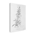 thumbnail image 2 of Trademark Fine Art 'Botany Book VI' Canvas Art by Wild Apple Portfolio, 2 of 3