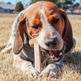 thumbnail image 2 of Bullibone Peanut Butter Nylon Dog Bone Toy Nylon - Improves Dental Hygiene, Easy to Grip Bottom, and Permeated with Flavor - 2 Pack, 2 of 7