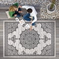 thumbnail image 2 of Outdoor Rug  5x7 Medallion White Black Modern Area Rugs For Indoor And Patios Kitchen Hallway Mats Washable Porch Deck Outside Carpet (medallion 5 X 7), 2 of 9