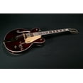 thumbnail image 2 of Gretsch G5422G-12 Electromatic Classic Hollow Body Double-Cut 12-String with Gold Hardware Walnut Stain 2516319517, 2 of 7