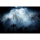 thumbnail image 1 of Fondo de vinilo de 7 x 5 pies con temática de Halloween, escena sombría, fondo para fotografía, cementerio aterrador, lápida, noche aterradora, fantasma, luna llena, niños y bebés, 1 of 5