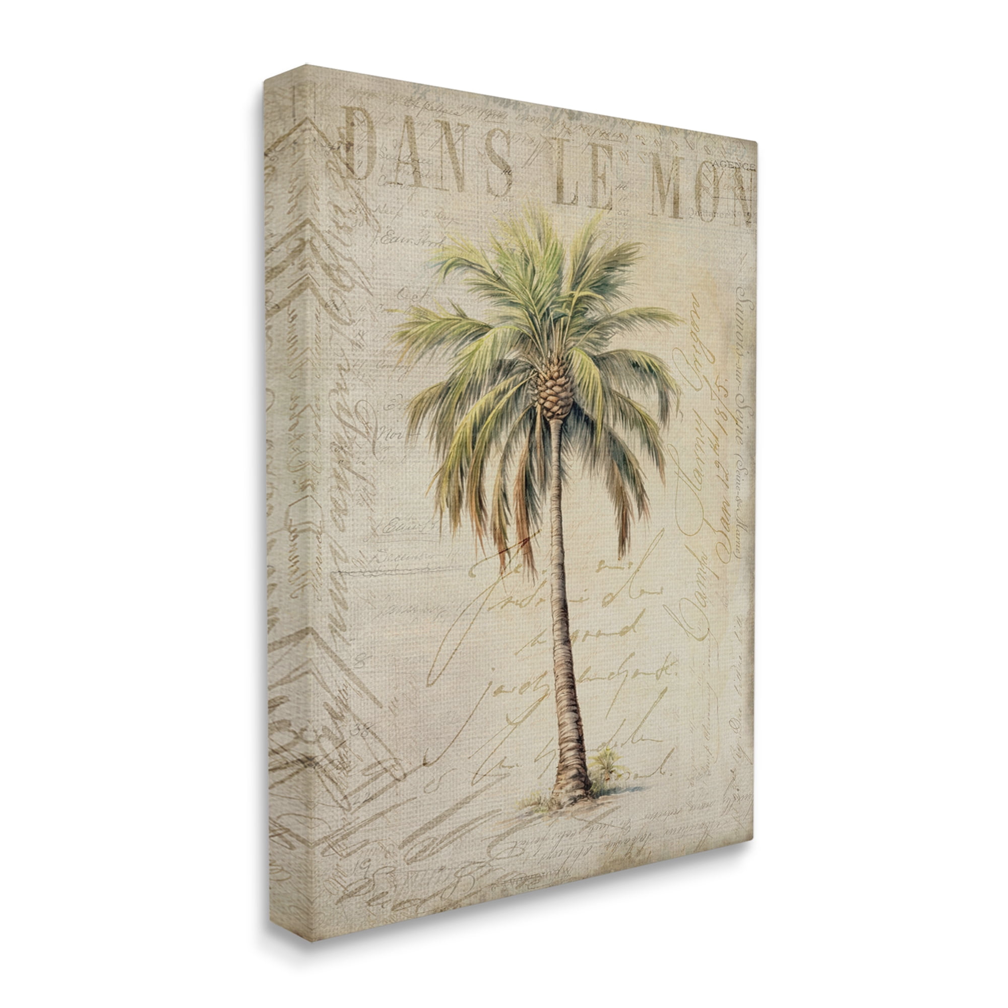 Stupell Industries Vintage Palm Tree Botanical & Floral Painting Gallery Wrapped Canvas Art Print Wall Art, 30 x 40