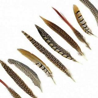 Black Ostrich Feather 16-20 inch Long per Each