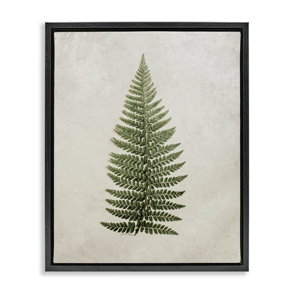 Stupell Industries Detailed Fern Leaf Botanical & Floral Painting Black Floater Framed Art Print Wall Art, 17 x 21