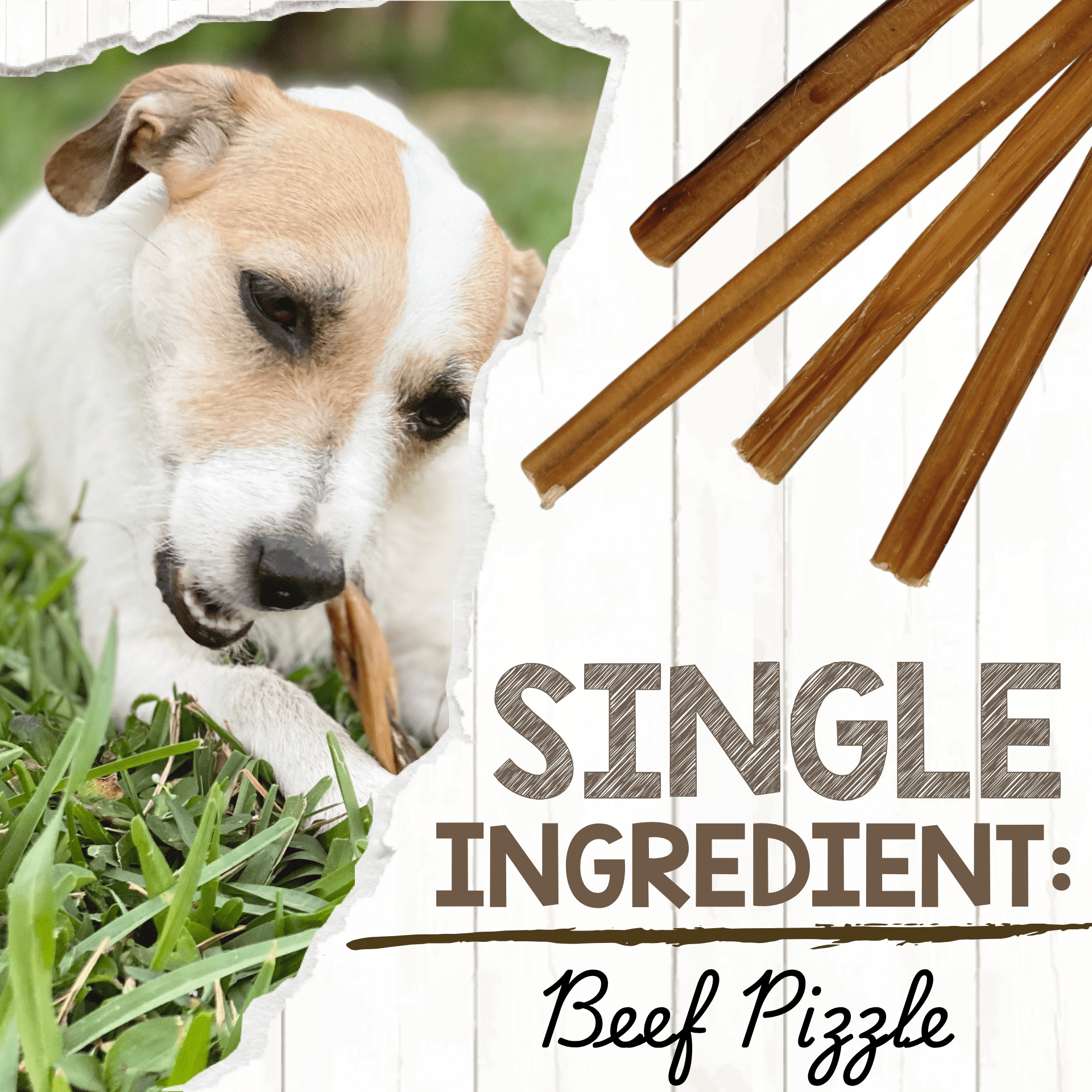 Nature Gnaws Small Bully Sticks, Natural Dog Chew Treats 4-6" (6oz)
