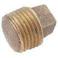 thumbnail image 2 of Anderson Metals Corp. Red Brass Threaded Pipe Plug - Solid Brass Plug - 4", 2 of 3