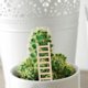 thumbnail image 4 of 2 escaleras de madera en miniatura, juguete de simulación de escalera, muebles de casa de madera en miniatura, 4 of 7