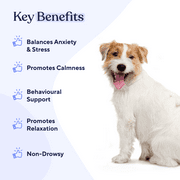 Pawfy Calming Chews for Dogs | Promotes Relaxation, Sleep Aid & Stress Relief
