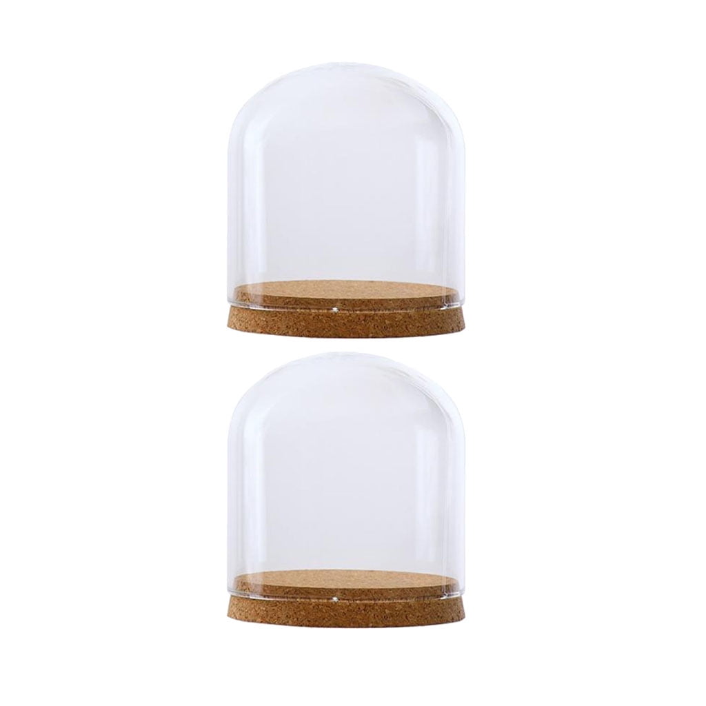 2Pcs 12x12cm Clear Glass Dome Tabletop Display Case for Gifts Wood Cork 