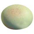 thumbnail image 2 of Mhm Sticky Bread Toys Soft Cute Stress Toys Realistic Shaped With Slow Rising Effect Fun For Adults & Teens Stress, 2 of 9