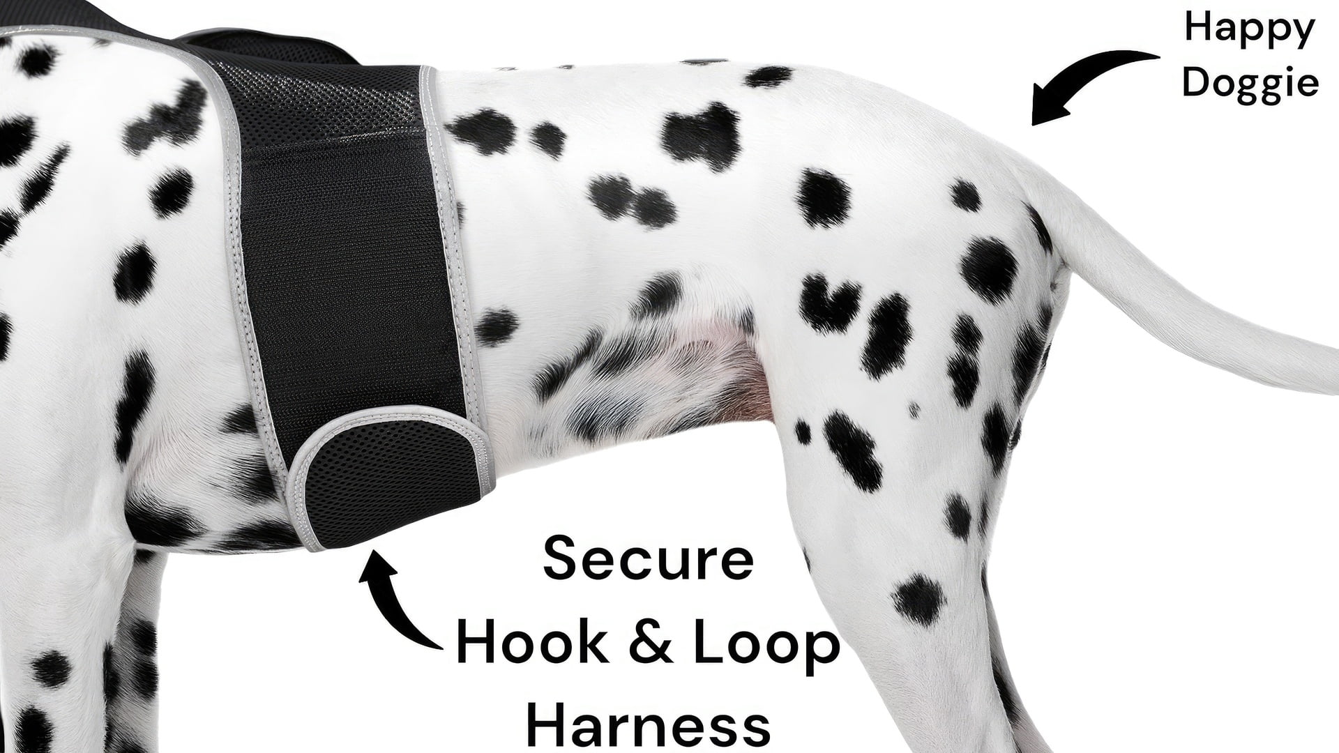 Mini GPS Cat Tracker Collar Pet Finder + Easy to Setup Tracking System Size:XS