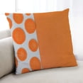thumbnail image 1 of Ahgly Company Foods Carrot Indoor Throw Pillow, 18 inch by 18 inch, 1 of 6