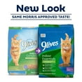 thumbnail image 4 of (4 pack) 9Lives Indoor Essentials Dry Cat Food for Adult Cats with Chicken & Salmon Flavors, 3.15 lb. Bag, 4 of 12