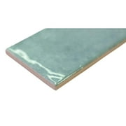 The Tile Life Havasupai Falls 3 in x 10 in Sage Glossy Ceramic Tile Sample 1 Piece