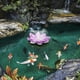 thumbnail image 5 of 1 juego de fuente solar de loto para exteriores, fuente flotante para estanque., 5 of 5