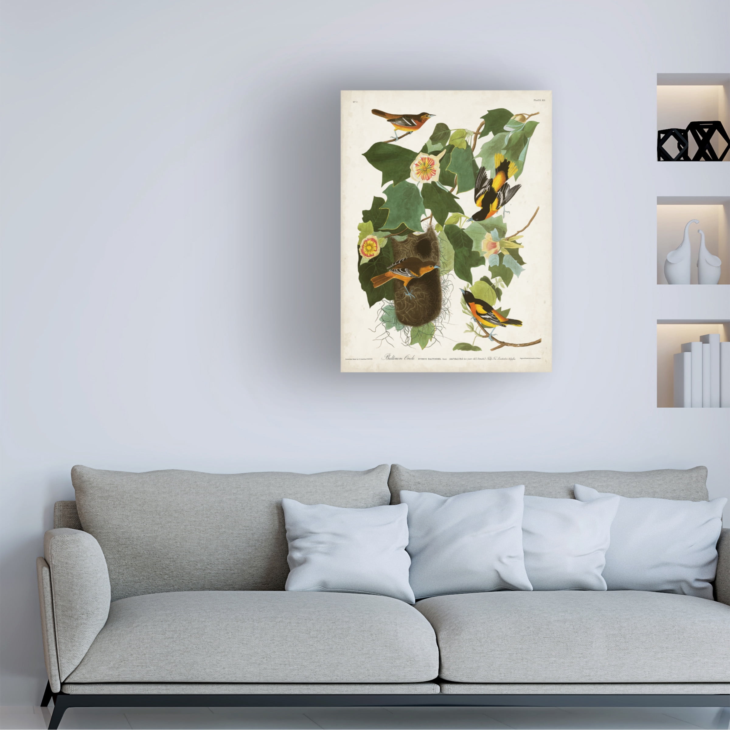 John James Audubon 'Baltimore Oriole' Canvas Art