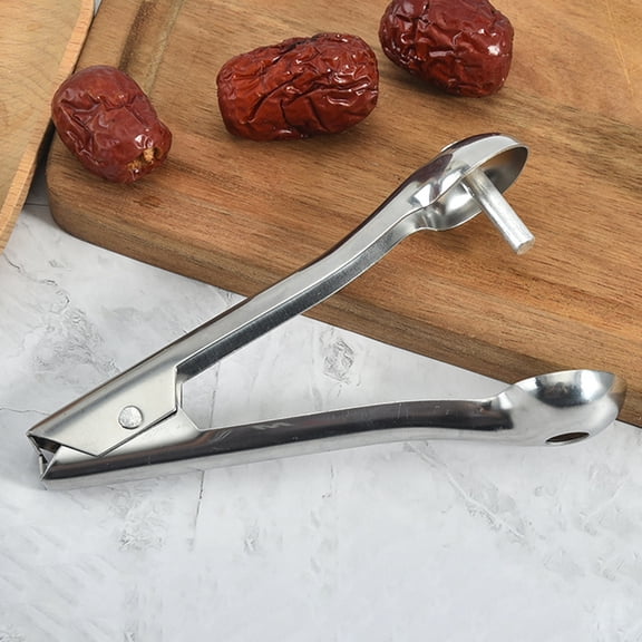 Dream Lifestyle Cherry Pitter, Portable Stainless Steel Fruit Pit Core Remover for Red Dates Cherry Hawthorn Jujube Grape Olive , Suitable for Home Kitchen