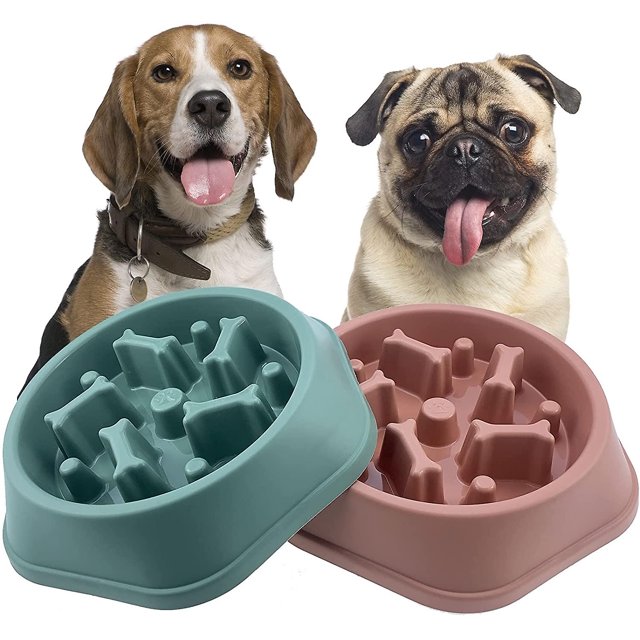 Comedero lento para perros Cuenco antideslizante para mascotas Patrón de hueso duradero Comedero para perros antichoque Diseño saludable Cuenco para lamer perros para alimentación interactiva Peq