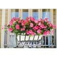 thumbnail image 6 of Sufanic Fake Morning Glory Simulation Petunia Wedding Home Decor Artificial Flowers,Rose Red, 6 of 9