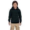 thumbnail image 1 of Hanes Big Boys Ribbed Waistband EcoSmart Pullover Hoodie, 1 of 1