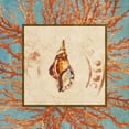 thumbnail image 2 of Loreth, Lanie 12x12 Black Ornate Wood Framed with Double Matting Museum Art Print Titled - Coral Medley Shell IV, 2 of 4
