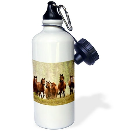 

3dRose Horses cresting small hill during roundup Montana - US27 AJE0036 - Adam Jones Sports Water Bottle 21oz