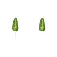 thumbnail image 3 of Yuarrent 20 bolsas de hermosos arreglos florales verdes con hojas de sandía simuladas, oreja de elefante grande de hierro fácil, conveniente y Oreja de elefante grande 2Conjunto, 3 of 6