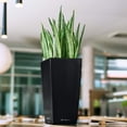 thumbnail image 4 of MAXI-CUBI Charcoal Metallic, Self-watering Small Indoor Planter, H10.2 L5.5 W5.5 in, 4 of 4
