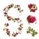 thumbnail image 4 of Guirnalda de Rosas Artificiales de Plástico de 239 Cm de Largo para Decoración de Patios Exteriores - Guirnalda de Flores Artificiales para Decoración de Hogar, Jardín, Patio, Bodas y Fiestas (Juego, 4 of 6