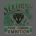 thumbnail image 2 of Mens Harry Potter Slytherin Pride and Ambition Tank Top, 2 of 4