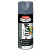 Primers, 12 oz Aerosol Can, Platinum