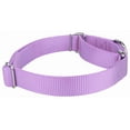 thumbnail image 6 of Country Brook Petz® Martingale Heavyduty Nylon Dog Collar and Double Handle Leash - Lavender - Extra Large, 6 of 7