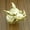 Gold, variant on Wild Boar Head Ring Animal Men Jewelry Punk Plated 316L Stainless Steel Fashion-Silver-9