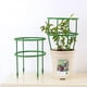thumbnail image 1 of Poste de soporte semicircular para plantas | Soporte para trepar flores, hortalizas y enredaderas | Núcleo de acero resistente a la oxidación | Paquete de 3, 1 of 6