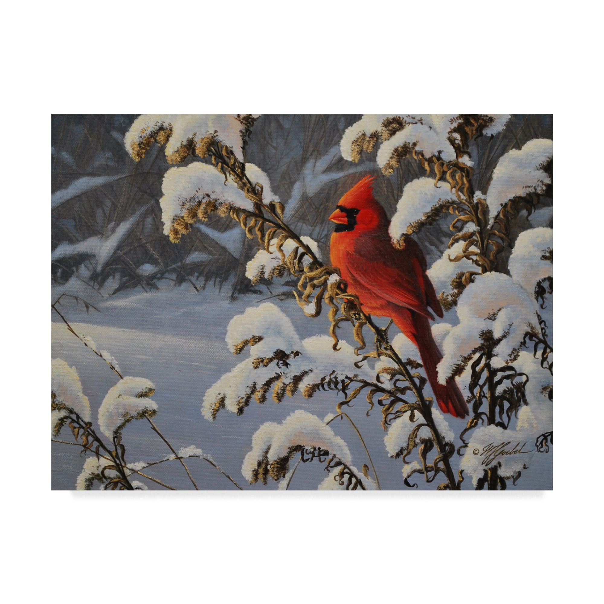 Trademark Fine Art 'Winter Red Cardinal' Canvas Art by Wilhelm Goebel