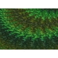 thumbnail image 1 of Ahgly Company Indoor Rectangle Patterned Dark Forest Green Area Rugs, 2' x 5', 1 of 6