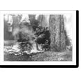 thumbnail image 2 of Historic Framed Print, [Close-up of charred corpse of Jesse Washington, laying on ground, after lynching, Waco, Texas, May 15, 1916], 17-7/8" x 21-7/8", 2 of 9